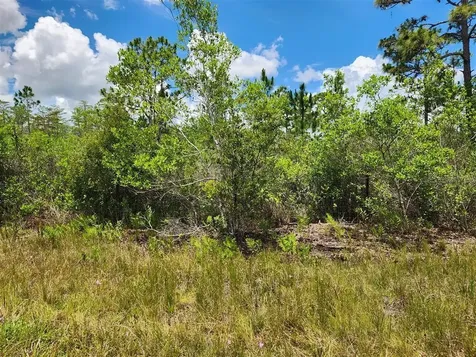 Holopaw Groves Road St Cloud FL 34771