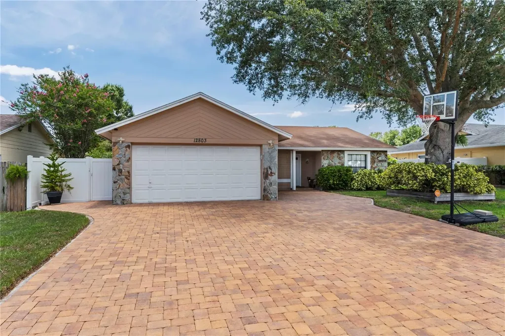 12803 Titina Way Tampa FL 33625