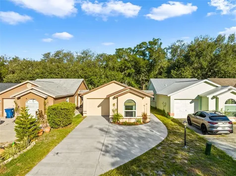 4405 Longshore Drive Land O Lakes FL 34639