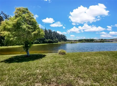 1142 Barclay Wood Drive Ruskin FL 33570