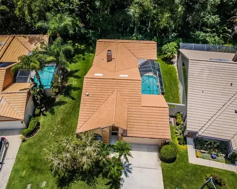 3618 Darston Street Palm Harbor FL 34685