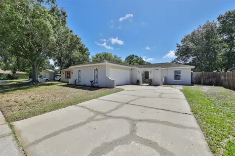 1007 Celtic Court Brandon FL 33510