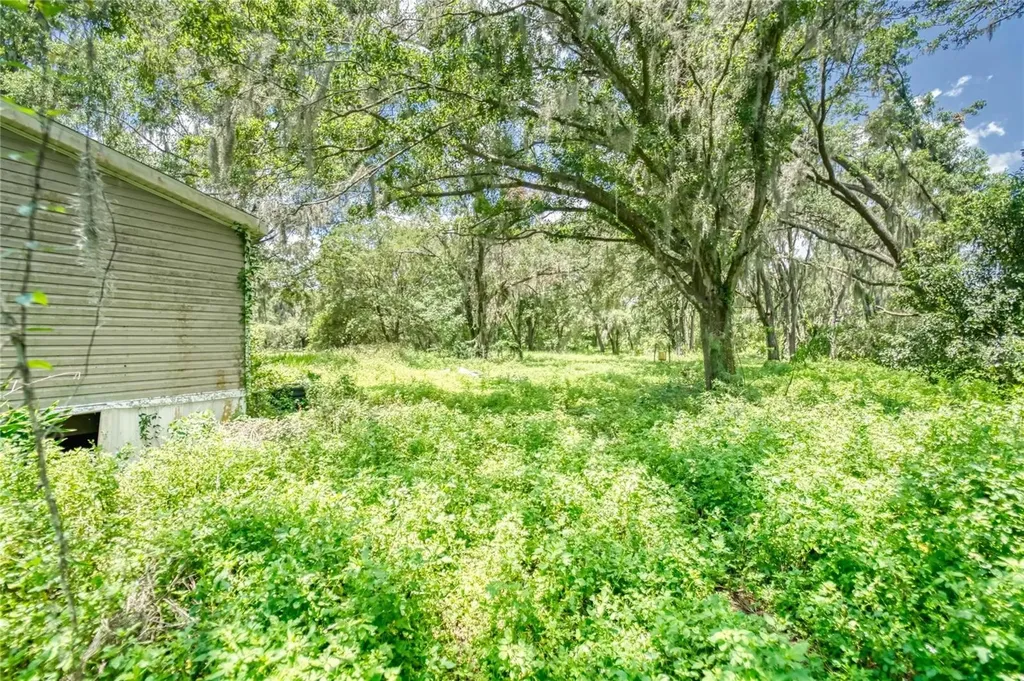 3113 N Wilder Road Plant City FL 33563