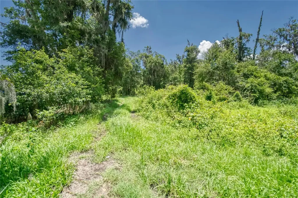 3113 N Wilder Road Plant City FL 33563