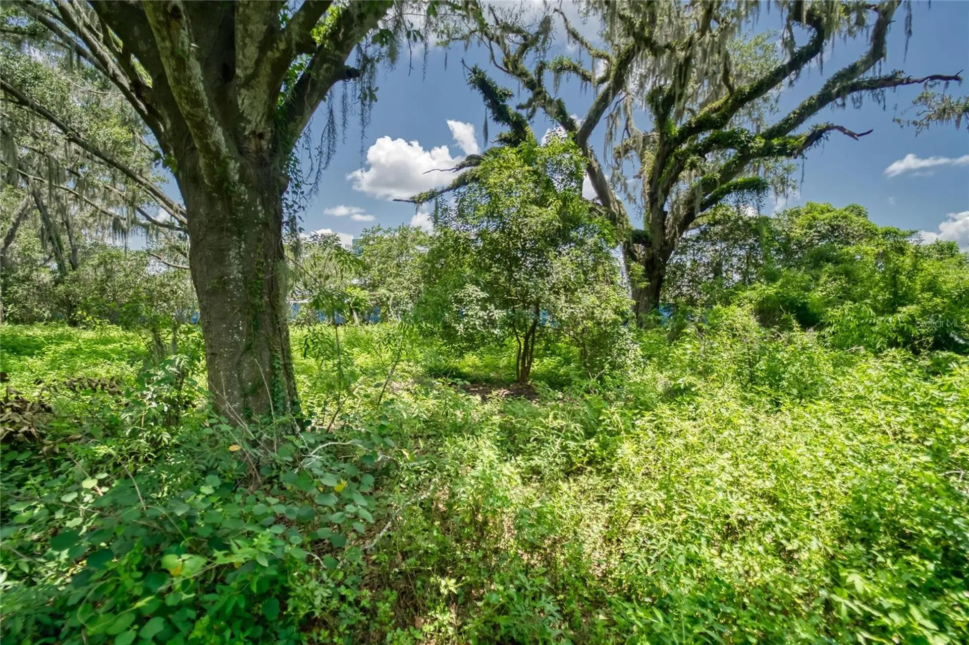 3113 N Wilder Road Plant City FL 33563