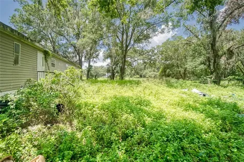 3113 N Wilder Road Plant City FL 33563