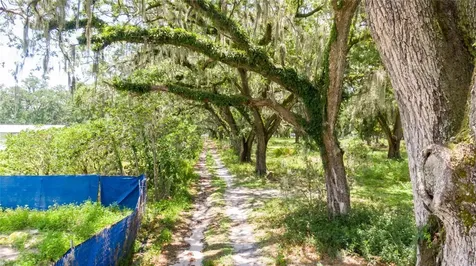 3113 N Wilder Road Plant City FL 33563