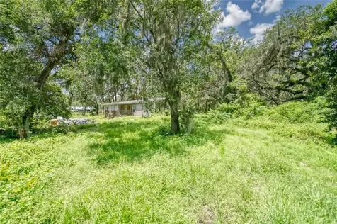 3113 N Wilder Road Plant City FL 33563