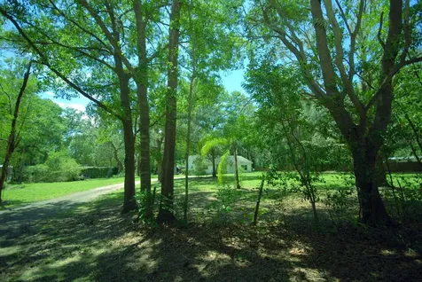 3307 Possom Trot Road Valrico FL 33596
