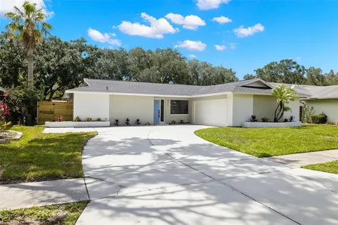 4217 Hollowtrail Drive Tampa FL 33624
