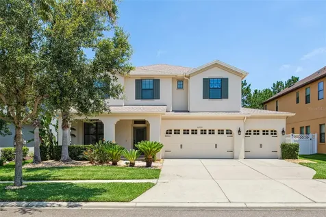 32733 Summerglade Drive Wesley Chapel FL 33545