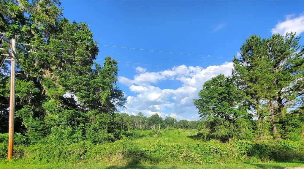 0 Tbd NW 115th Avenue Reddick FL 32686