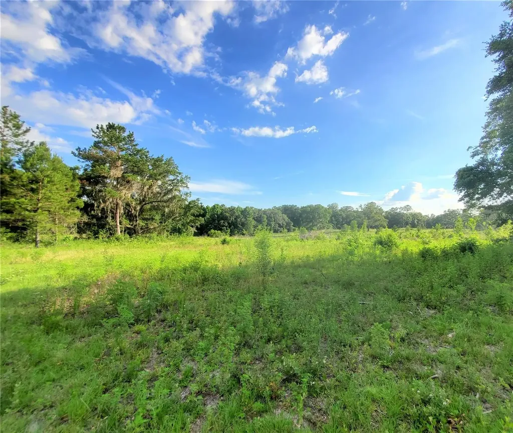 0 Tbd NW 115th Avenue Reddick FL 32686