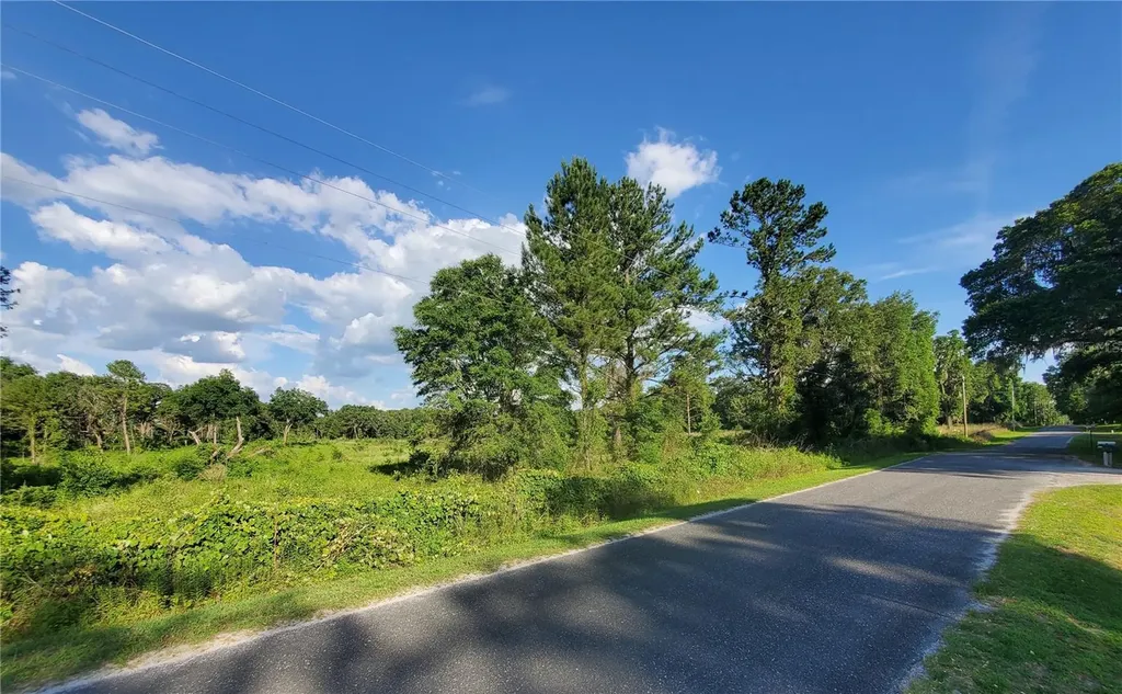 0 Tbd NW 115th Avenue Reddick FL 32686