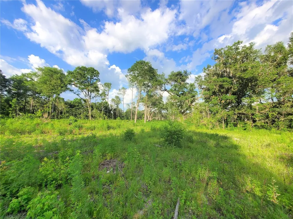 0 Tbd NW 115th Avenue Reddick FL 32686