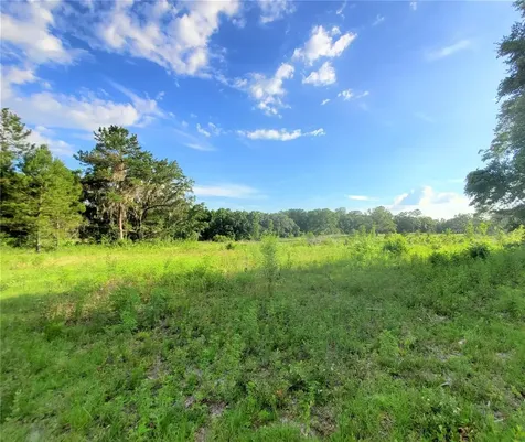 0 Tbd NW 115th Avenue Reddick FL 32686