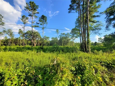 0 Tbd NW 115th Avenue Reddick FL 32686