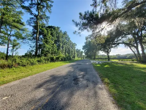 0 Tbd NW 115th Avenue Reddick FL 32686