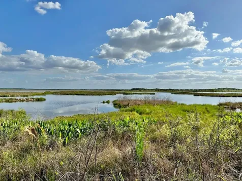 39325 County Road 452 Leesburg FL 34788