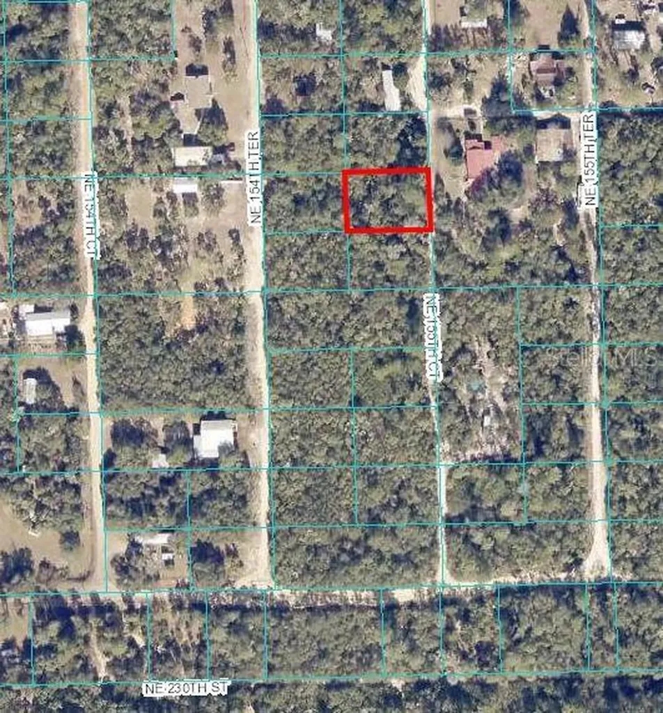 NE 155th Court Fort Mc Coy FL 32134