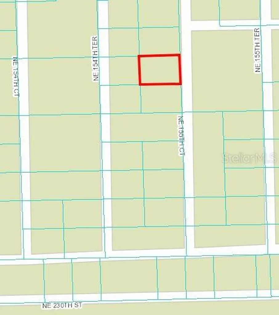 NE 155th Court Fort Mc Coy FL 32134