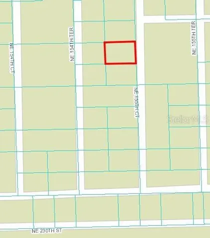 NE 155th Court Fort Mc Coy FL 32134