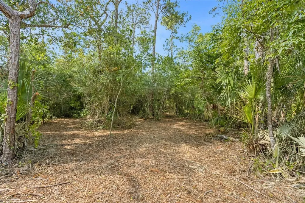 Mar Lisa Cove Road Lake Wales FL 33898