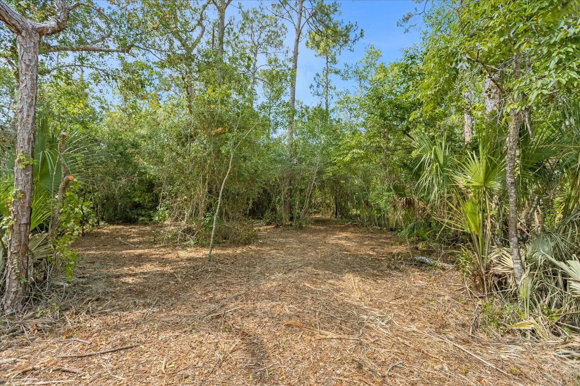 Mar Lisa Cove Road Lake Wales FL 33898