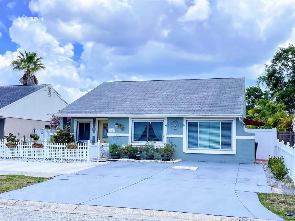 12303 Cloverstone Drive Tampa FL 33624
