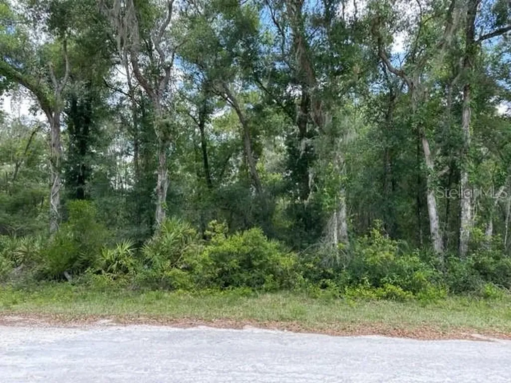 6471 Otter Drive Webster FL 33597