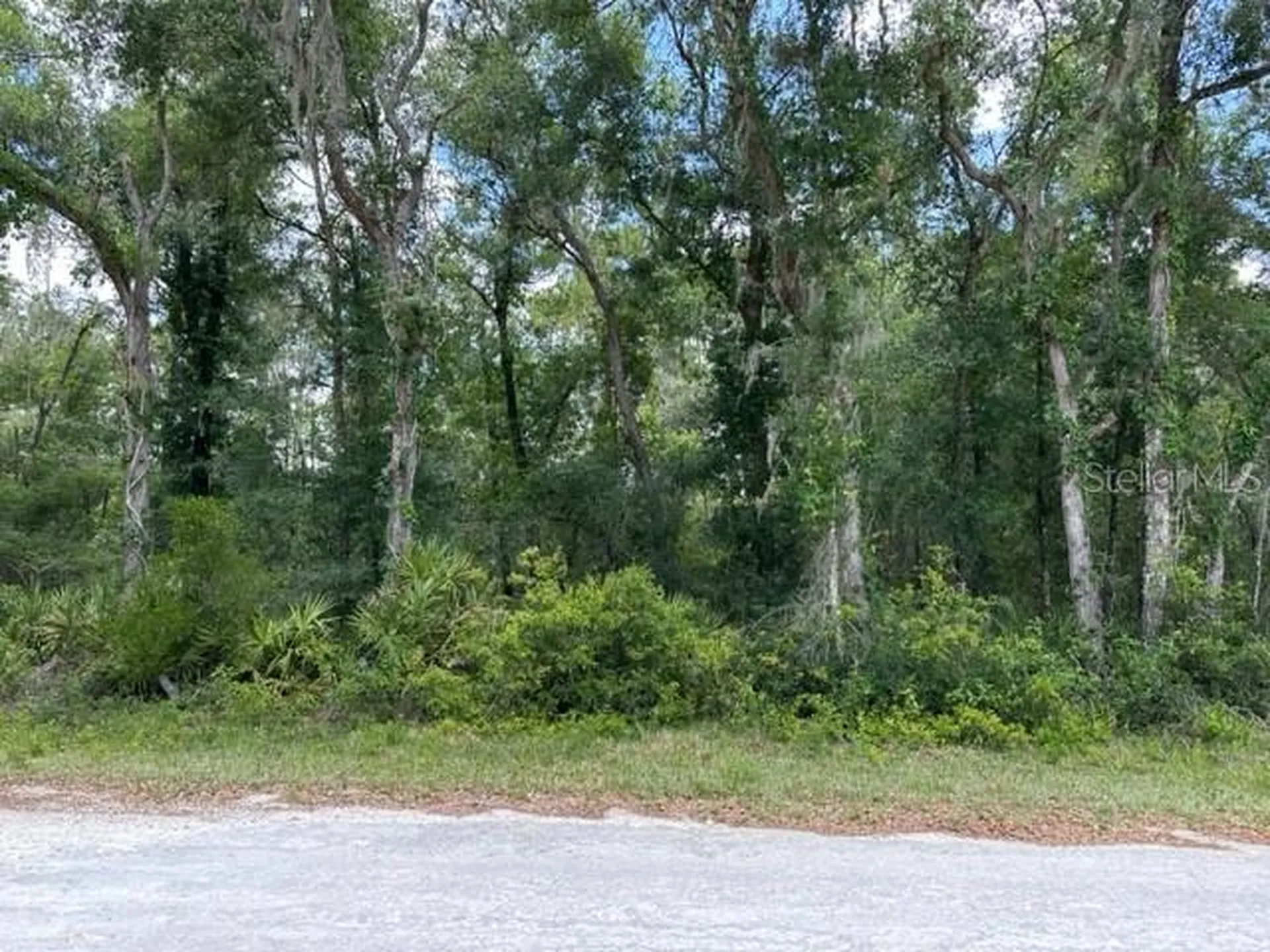6471 Otter Drive Webster FL 33597