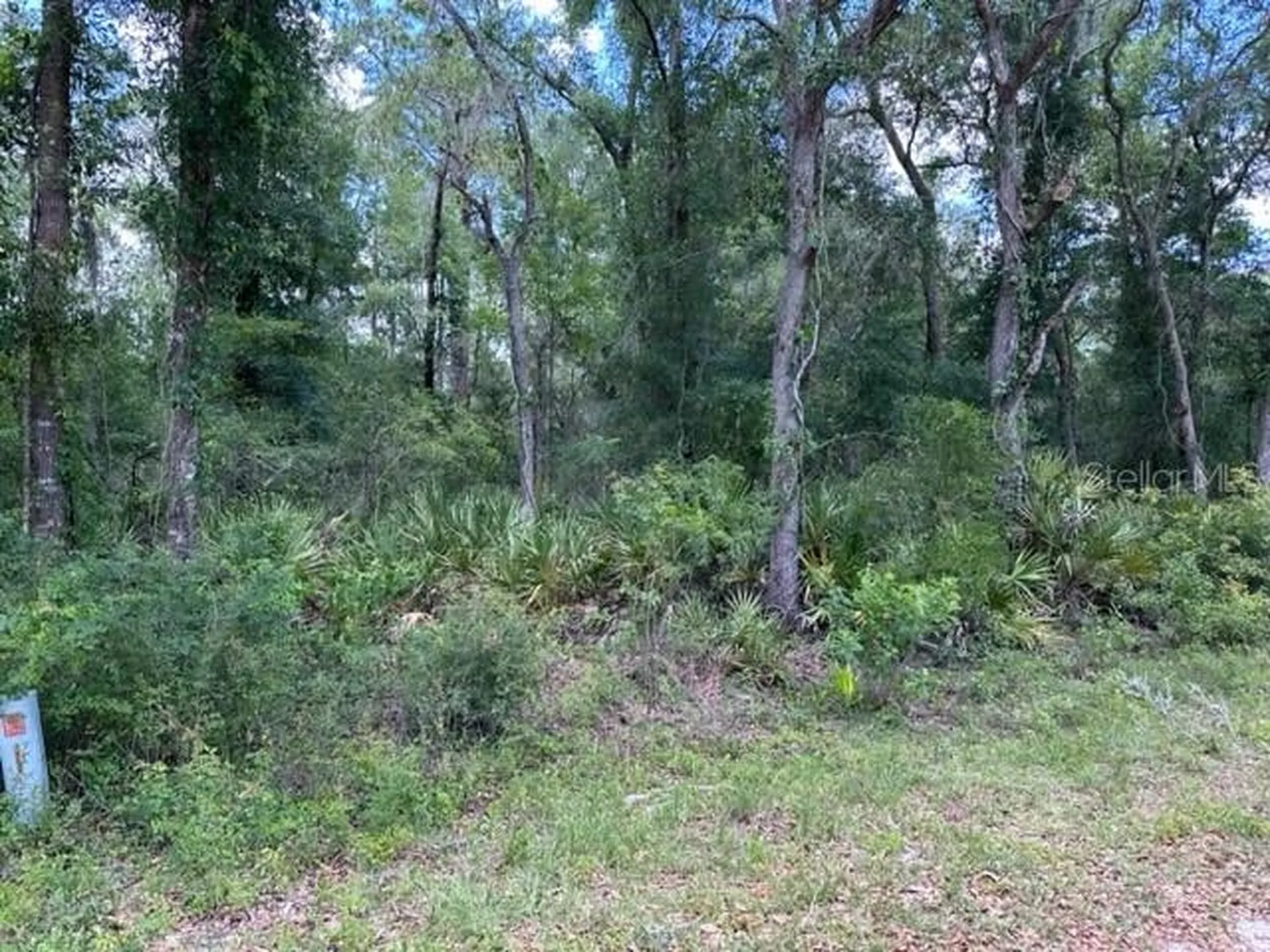 6471 Otter Drive Webster FL 33597
