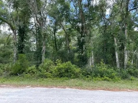 6471 Otter Drive Webster FL 33597