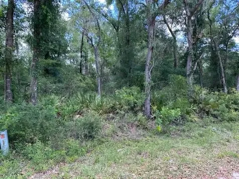 6471 Otter Drive Webster FL 33597