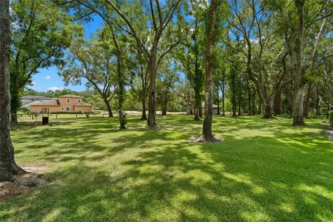 17517 Mallard Court Lutz FL 33559