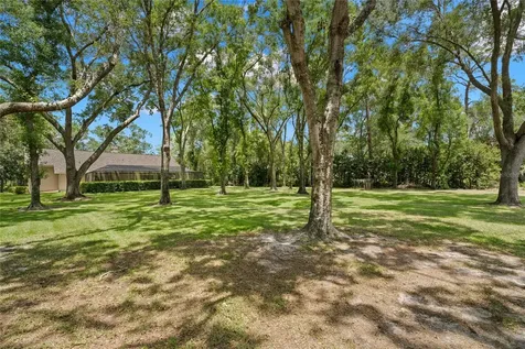 17517 Mallard Court Lutz FL 33559