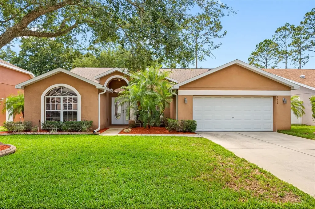 5619 Walkingstick Lane Wesley Chapel FL 33543