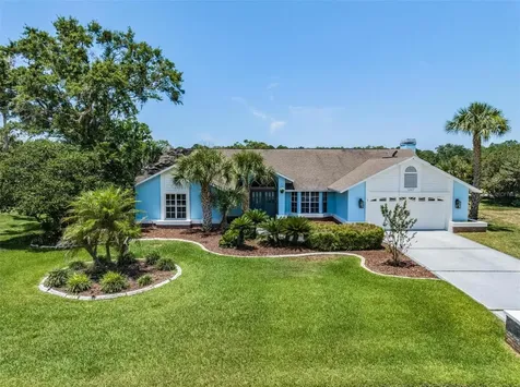 4263 River Birch Drive Spring Hill FL 34607