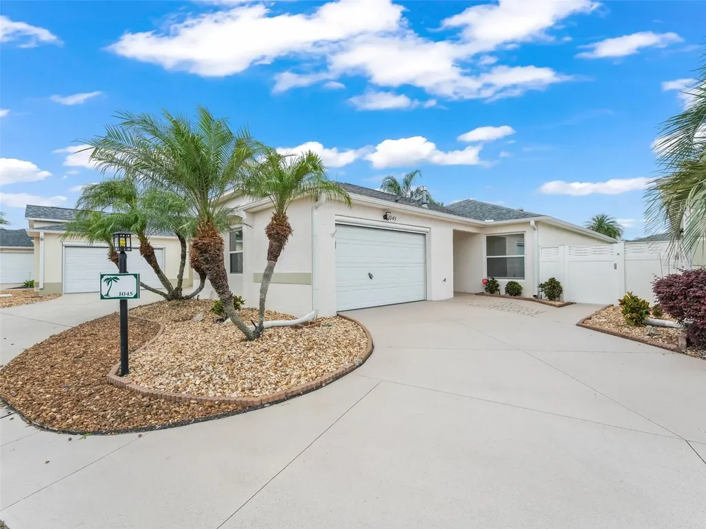 1045 Jackson Street The Villages FL 32162