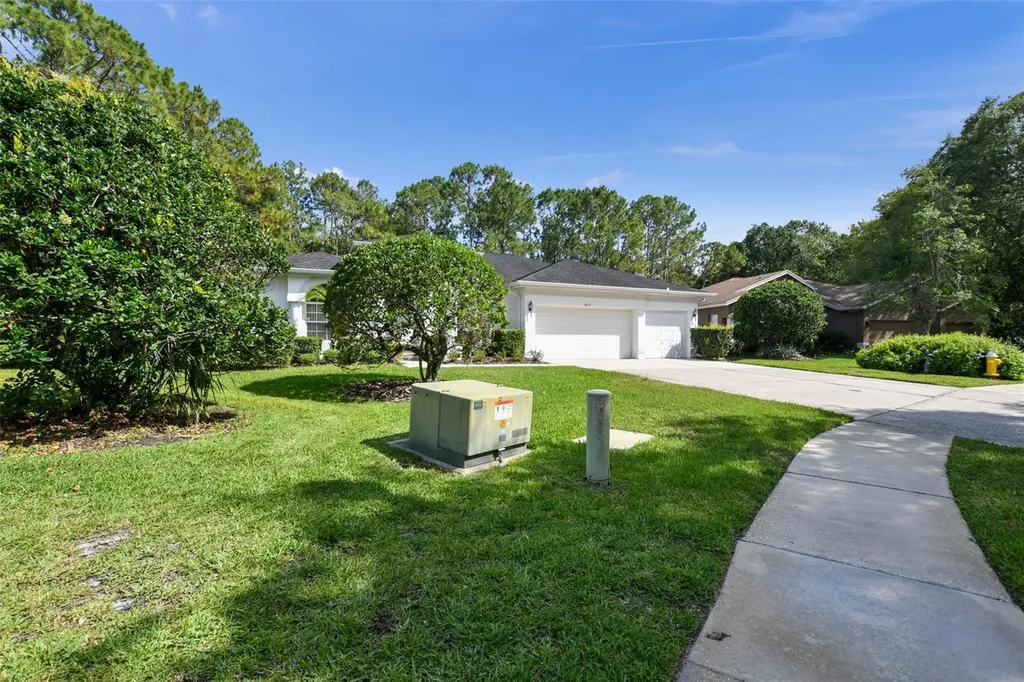 2015 Warwick Drive Oldsmar FL 34677