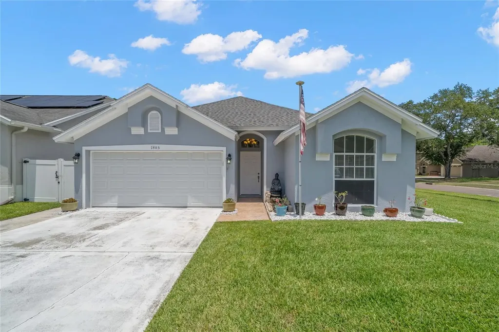 7803 Marbella Creek Avenue Tampa FL 33615