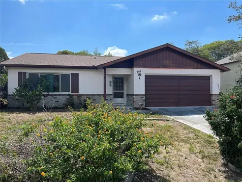 1201 Macfarlane Avenue Spring Hill FL 34608