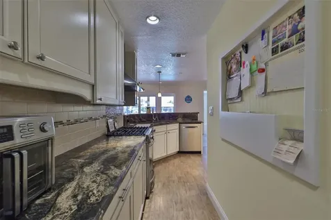 1004 Sago Palm Way Apollo Beach FL 33572