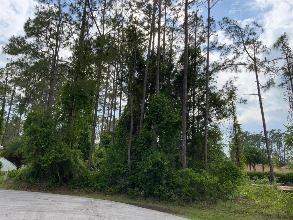 10 Ripton Place Palm Coast FL 32164