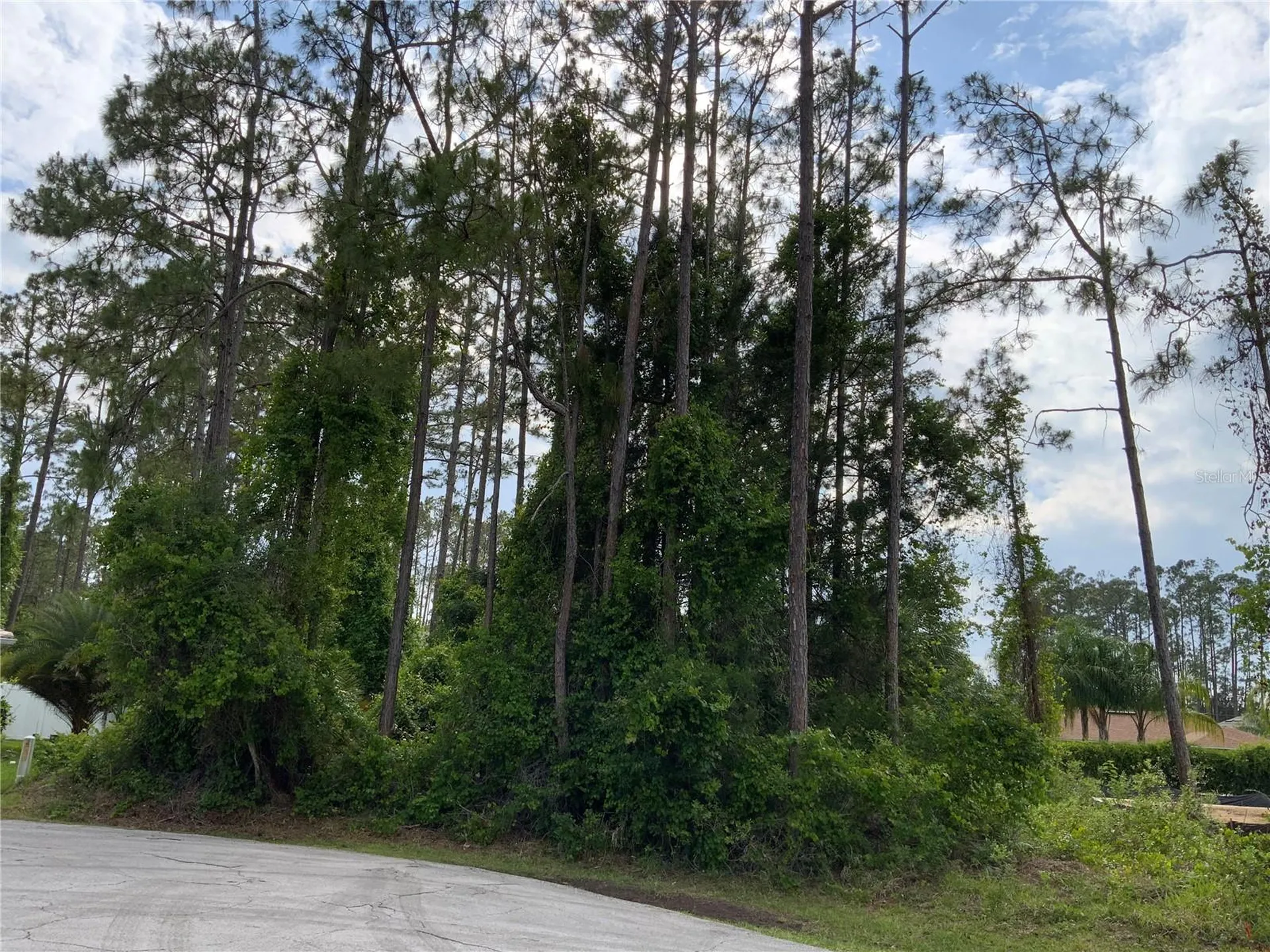 10 Ripton Place Palm Coast FL 32164