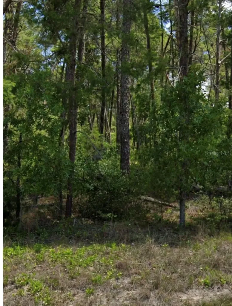109 Granada Drive Florahome FL 32140