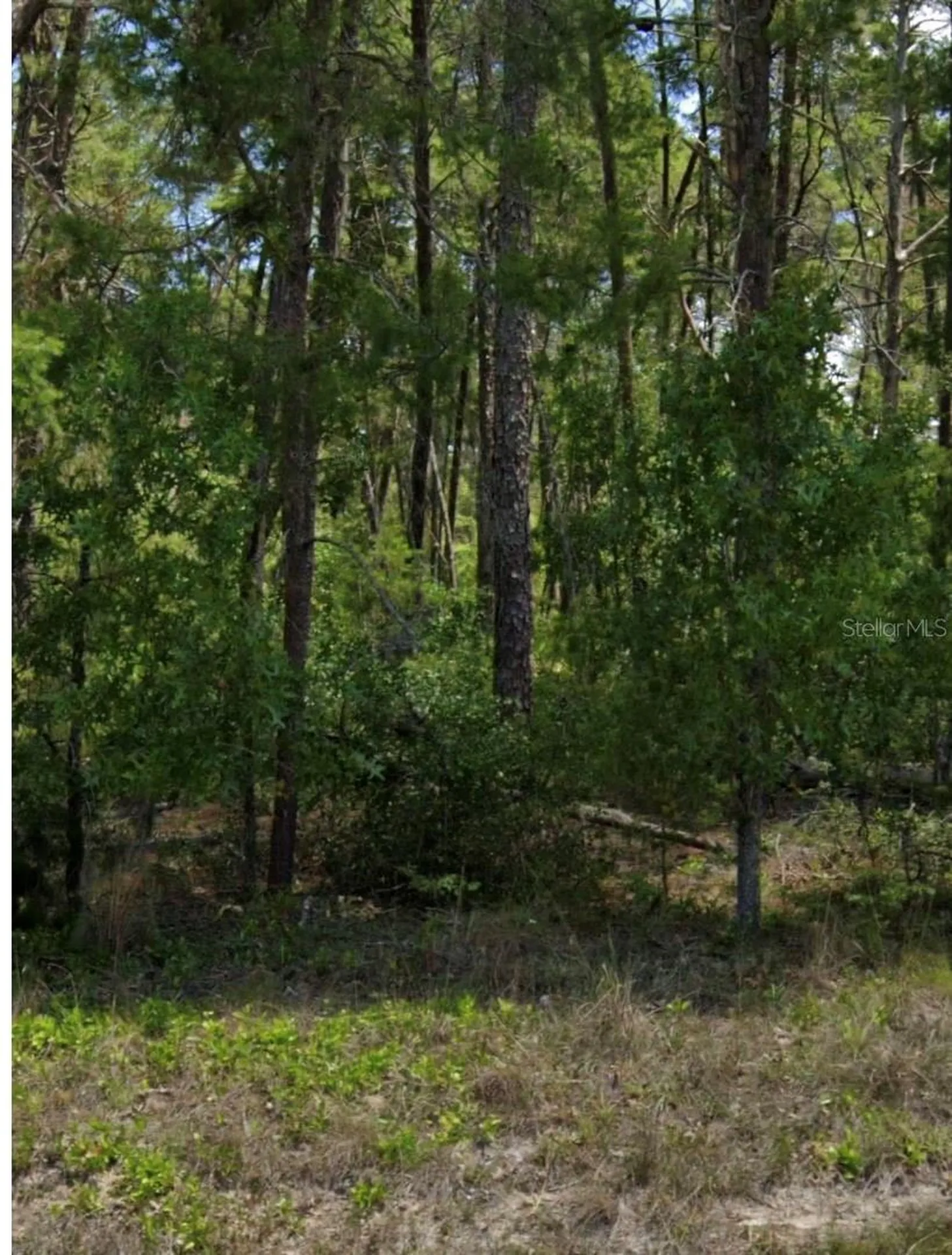 109 Granada Drive Florahome FL 32140