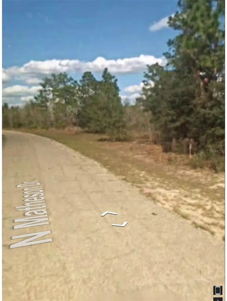 5886 N Matheson Drive Citrus Springs FL 34434