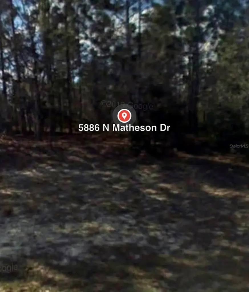 5886 N Matheson Drive Citrus Springs FL 34434