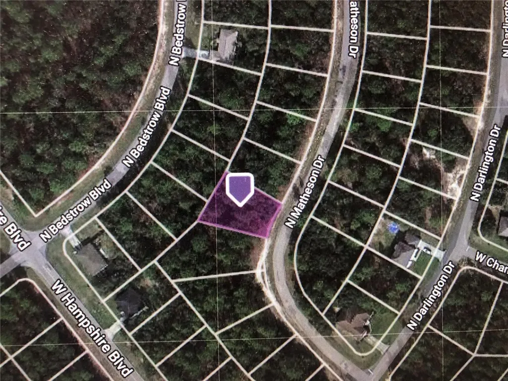 5886 N Matheson Drive Citrus Springs FL 34434